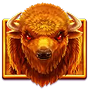 Buffalo